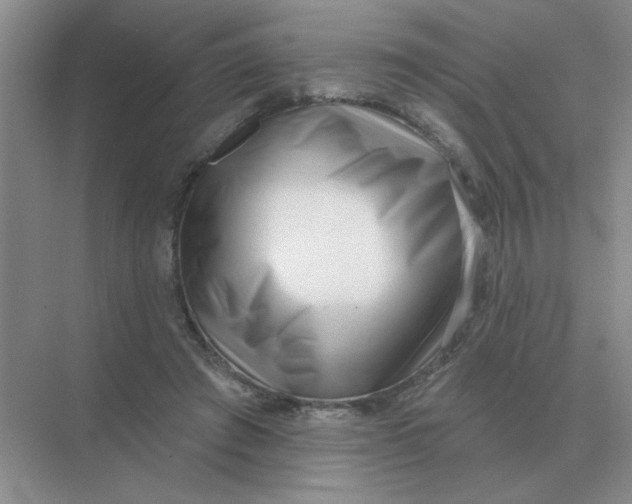 X0000075350401200609292106