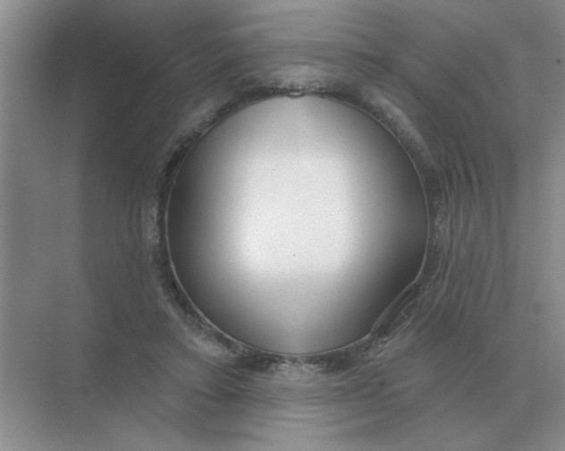 X0000075350403200609292106