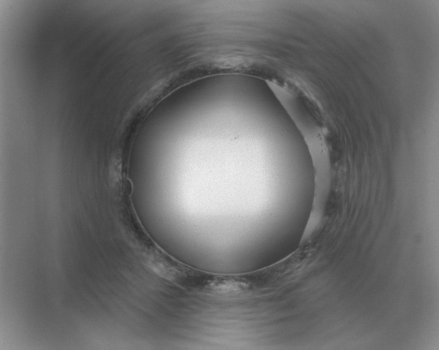 X0000075350407200609292106