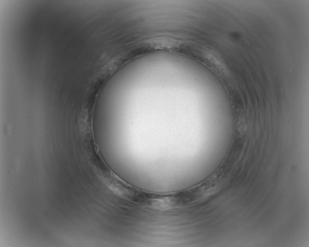 X0000075350411200609292106