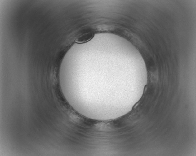 X0000075350422200609292106