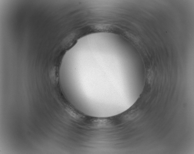 X0000075350428200609292106