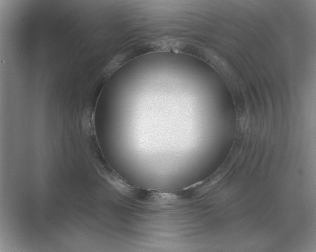 X0000075350429200609292106