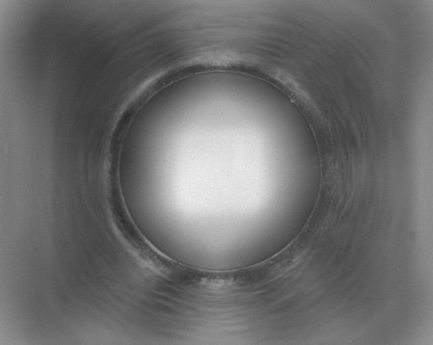 X0000075350440200609292105