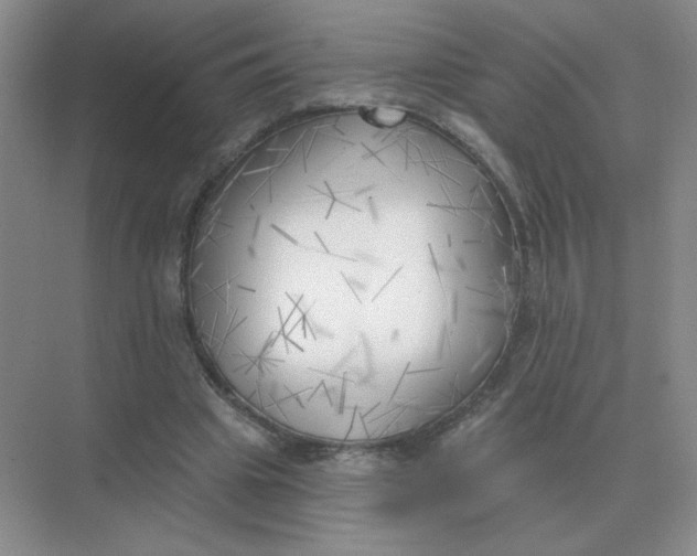 X0000075350441200609292105