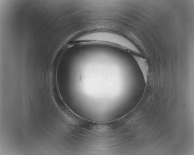 X0000075350444200609292105