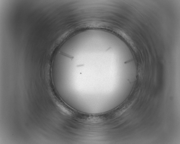 X0000075350445200609292105