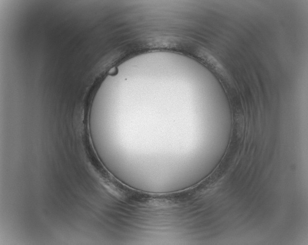 X0000075350490200609292104
