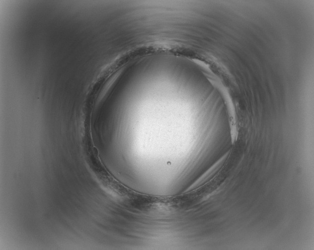 X0000075350496200609292104
