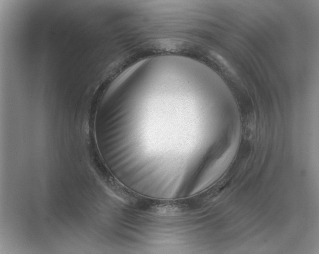 X0000075350500200609292104