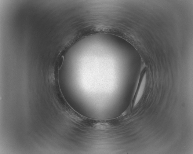 X0000075350508200609292104