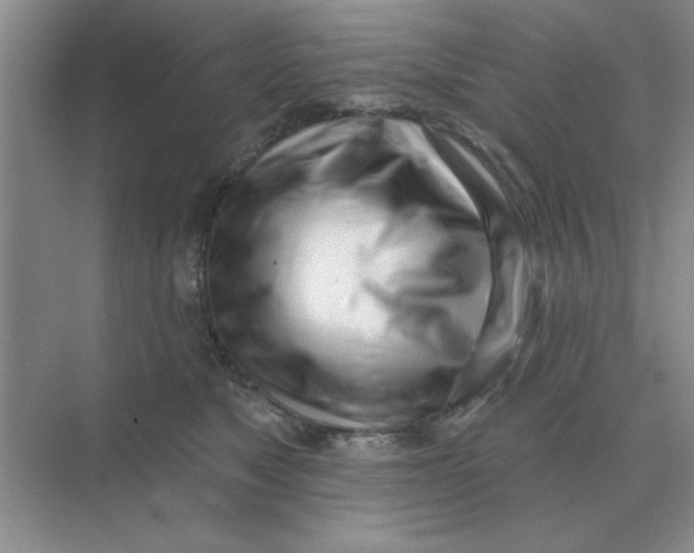 X0000075350517200609292104