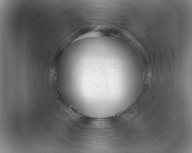 X0000075350521200609292104