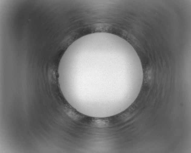 X0000075350522200609292104