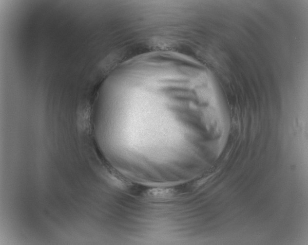 X0000075350526200609292104