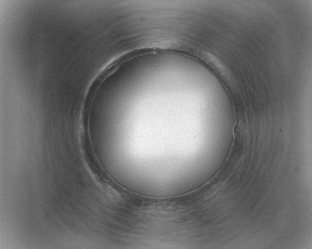 X0000075350532200609292103