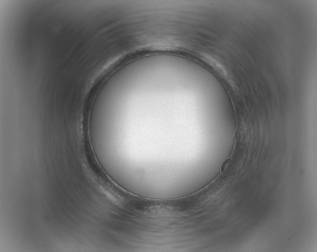 X0000075350535200609292103