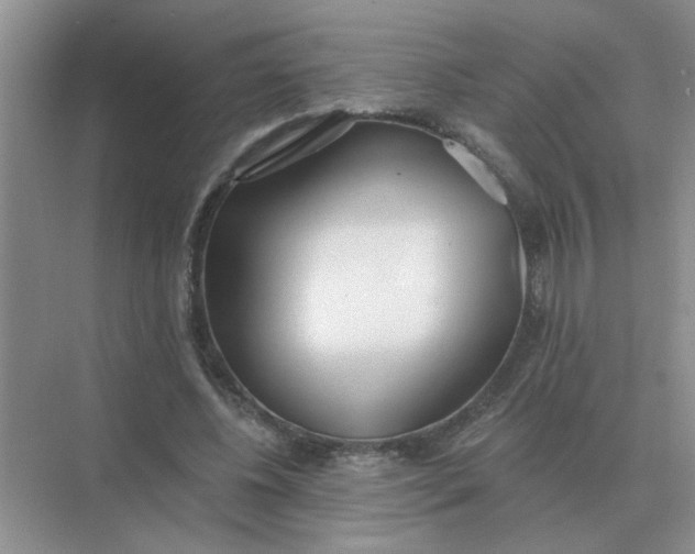 X0000075350540200609292103