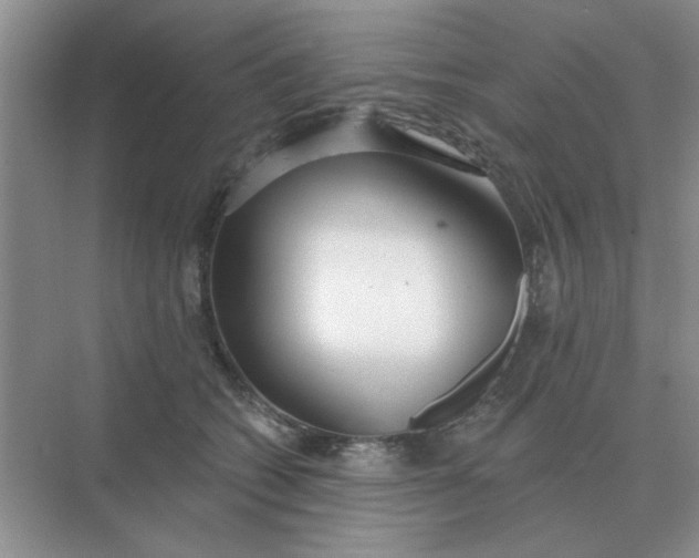 X0000075350562200609292104