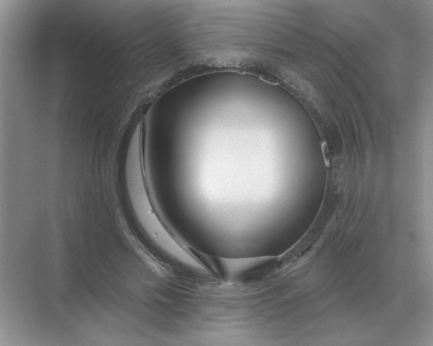 X0000075350589200609292103