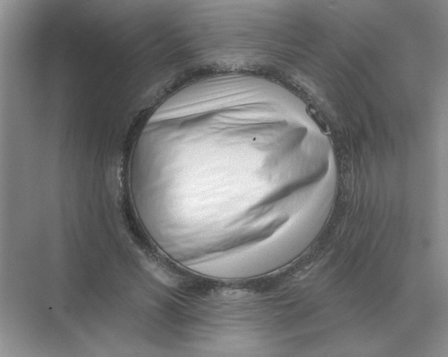 X0000075350590200609292103
