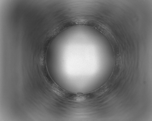 X0000075350604200609292103