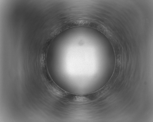 X0000075350605200609292103