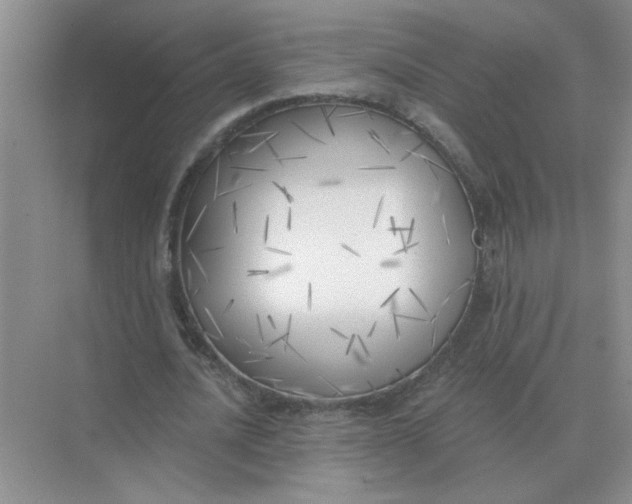 X0000075350628200609292101