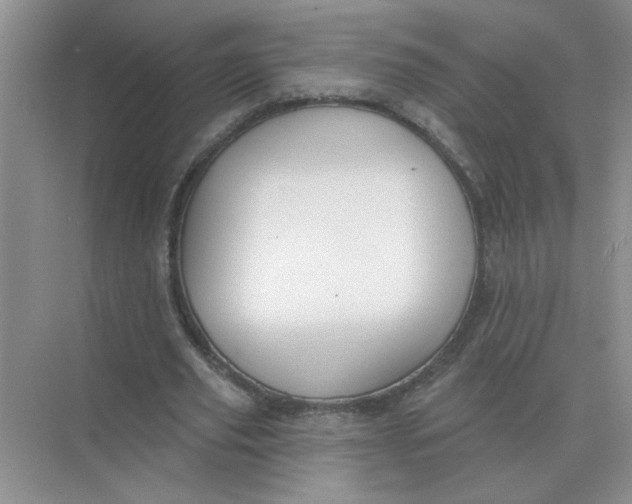 X0000075350629200609292101