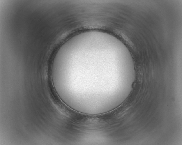 X0000075350631200609292101