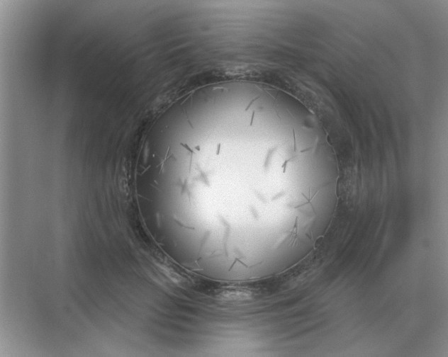 X0000075350653200609292102