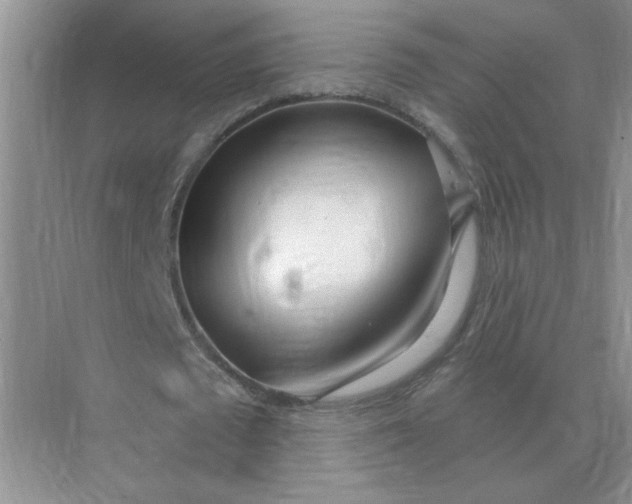 X0000075350673200609292101