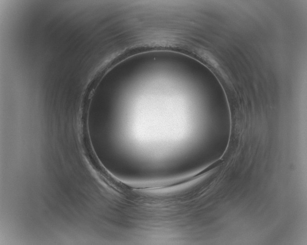 X0000075350677200609292101