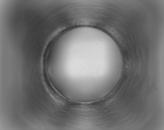 X0000075350678200609292101