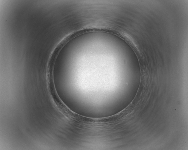 X0000075350680200609292101