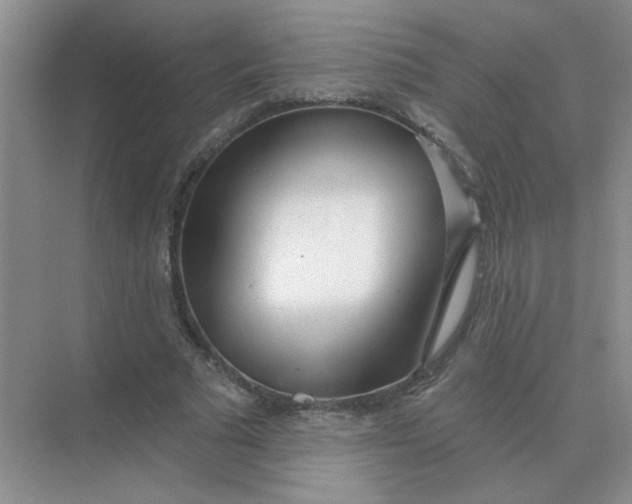 X0000075350681200609292101