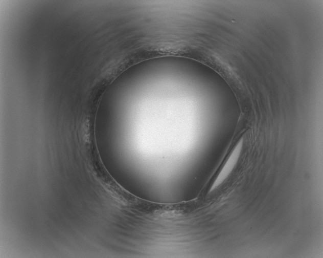 X0000075350689200609292101