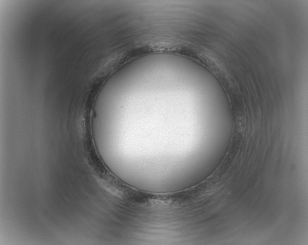X0000075350690200609292101