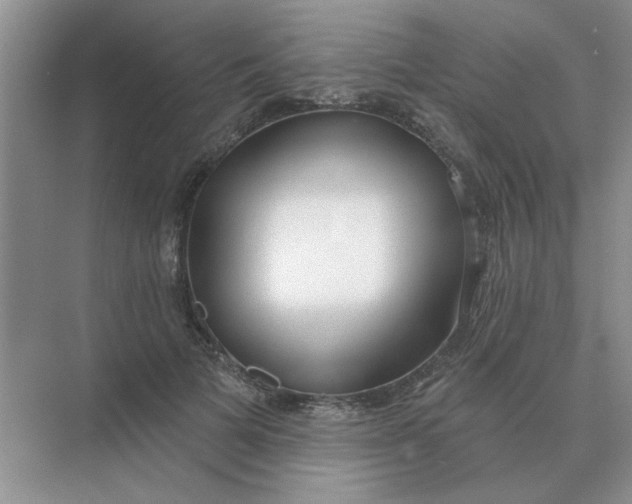 X0000075350697200609292101