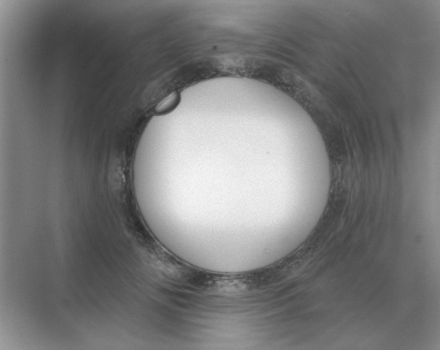 X0000075350702200609292101
