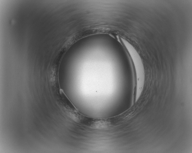 X0000075350708200609292101