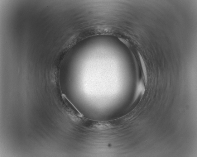 X0000075350712200609292101