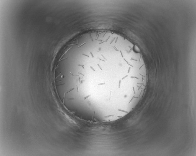 X0000075350721200609292100