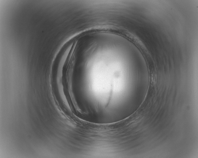 X0000075350724200609292100