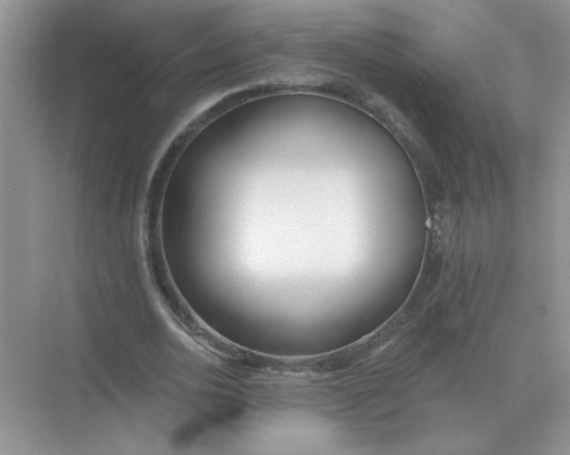 X0000075350726200609292100