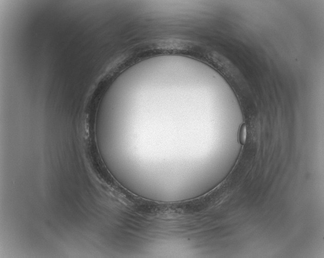 X0000075350731200609292100