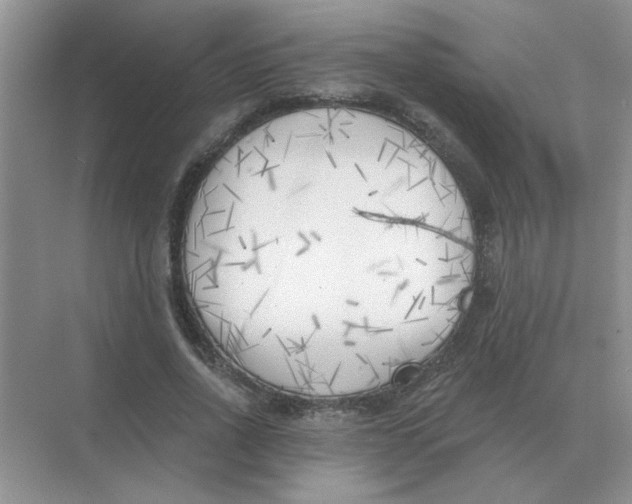 X0000075350734200609292100