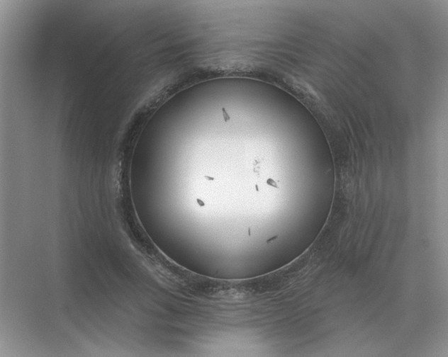 X0000075350735200609292100