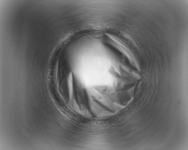X0000075350736200609292100