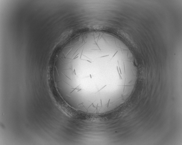 X0000075350738200609292100